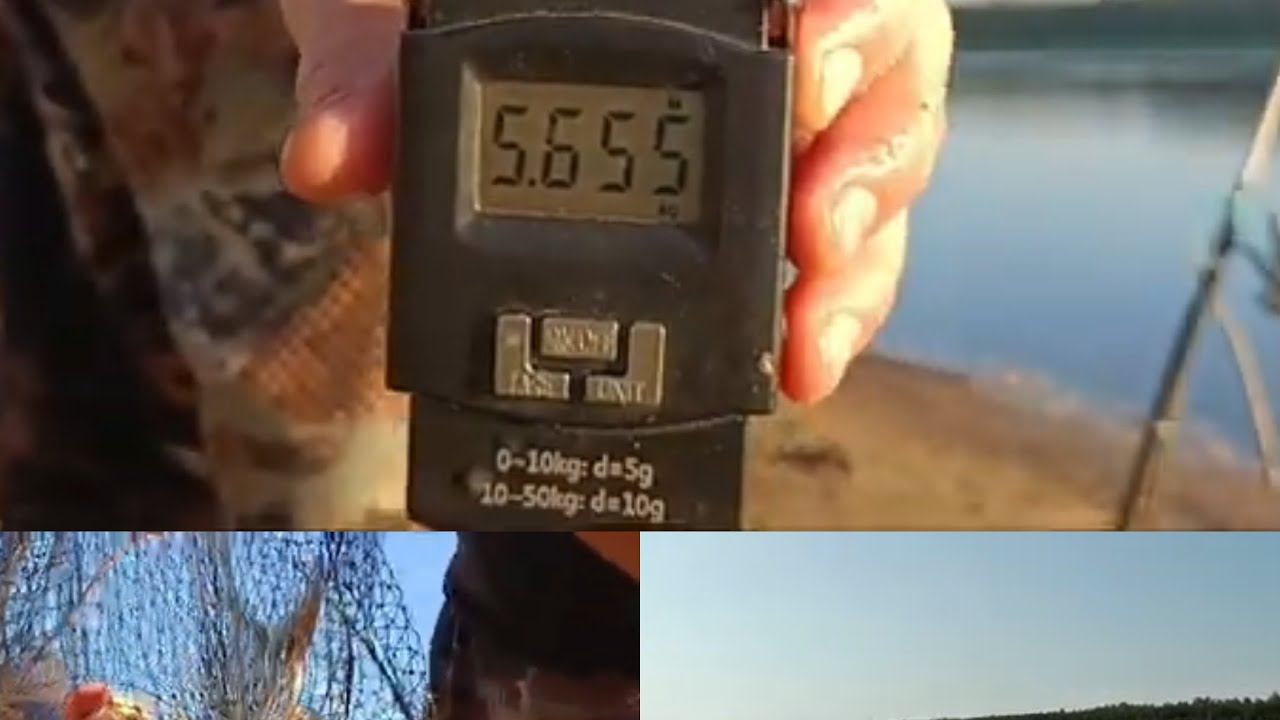 Сентябрьские лещи (проплыли мимо). Оснащение моей донки. День второй. смотреть онлайн