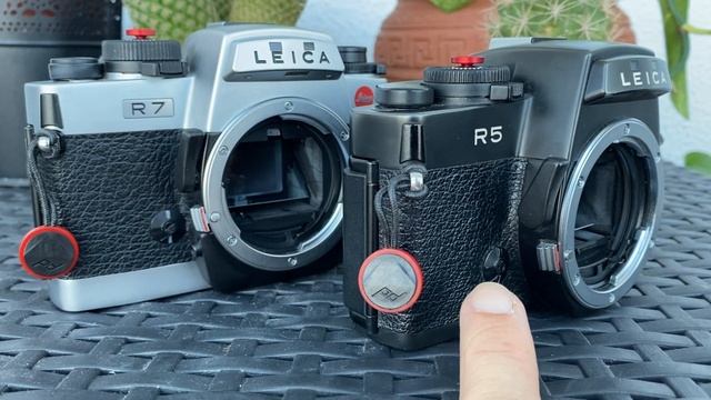 ? Best Value Leica Camera? Leica R5 & Leica R7