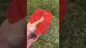 Слайм в в виде еды ❗❕История не моя ❗❕? Истории Елены Райтман ?