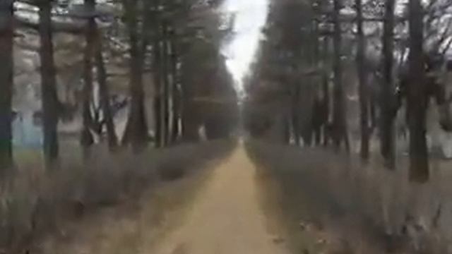 Барнаул,поёлок Южный