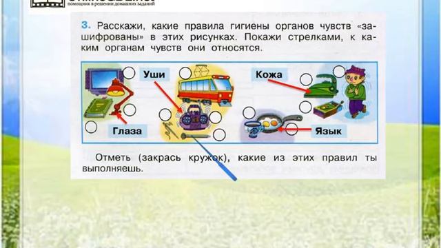 Задание 3 Органы чувств - Окружающий мир 3 класс (Плешаков А.А.) 1 часть смотреть онлайн