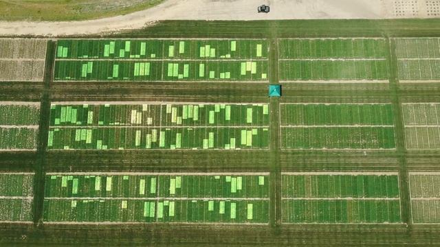 DLF - Seeds & Science By Design смотреть онлайн