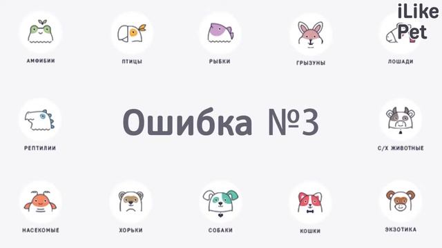 4 распространенные ошибки при уходе за аквариумными рыбками на Ilikepet