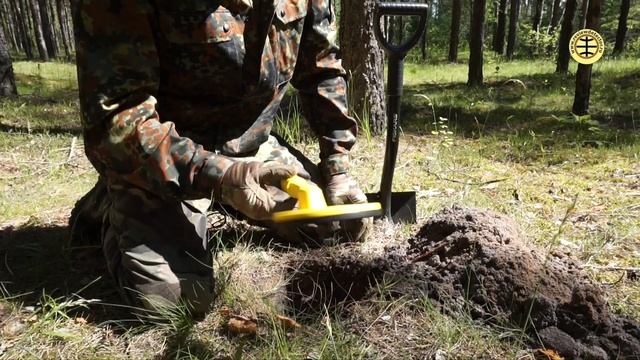 Nokta Makro Pulse Dive обзор Review (RUS)#NoktaMakro #NoktaMakroPulseDive #reviewdetector