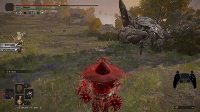 ELDEN RING DUELS But it's OPEN WORLD (they couldn't find arena) смотреть онлайн