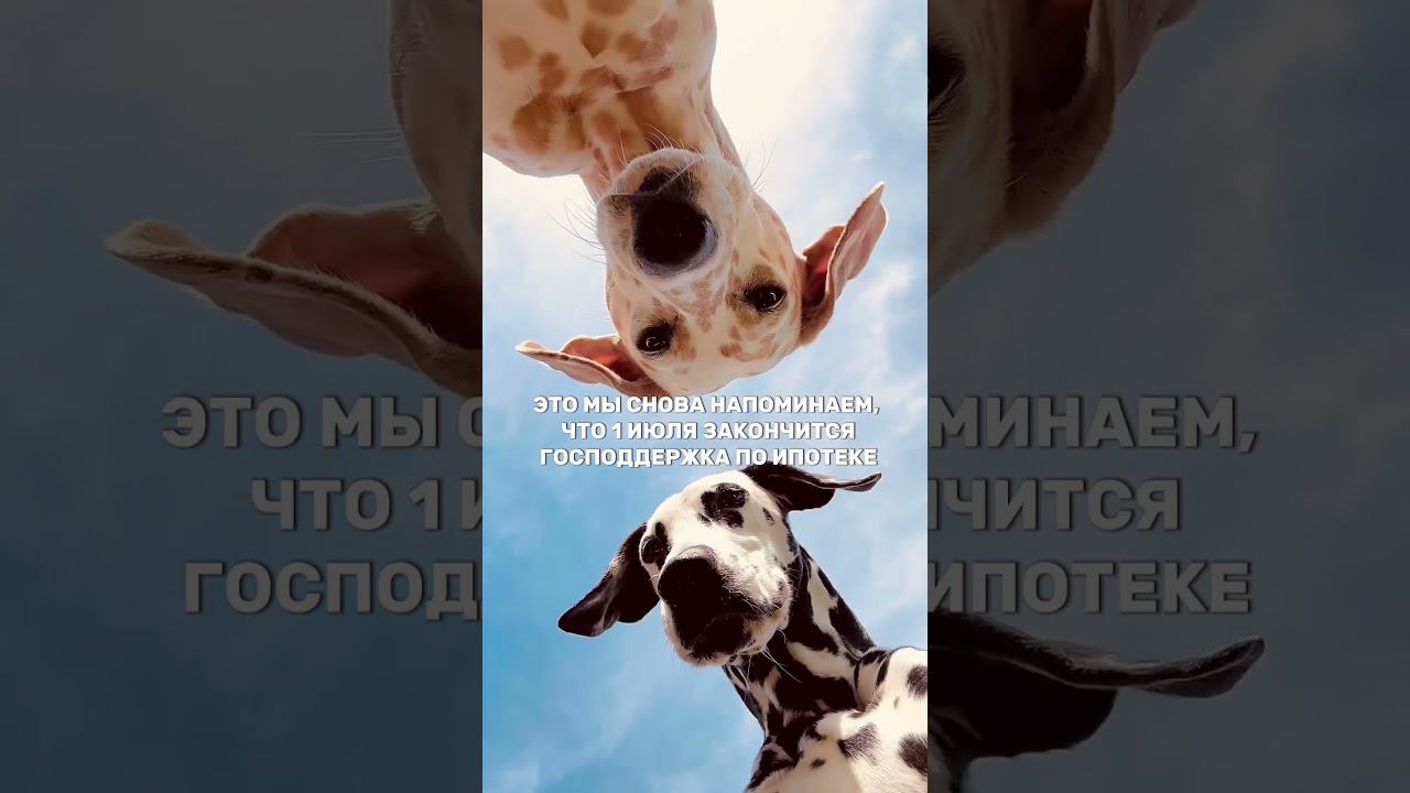 Господдержка на ипотеку #ипотечныйброкер #кино #shortsvideo #дизайнинтерьера смотреть онлайн