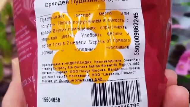 Орхидеи в Леруа Мерлен на Осташковском ш. Ассортимент, цены. смотреть онлайн
