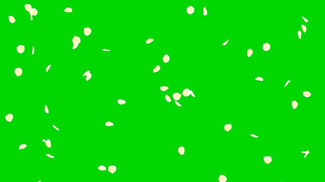 Falling Rose Petals White HD Animation - green screen effect 白いバラの花びら花吹雪 смотреть онлайн