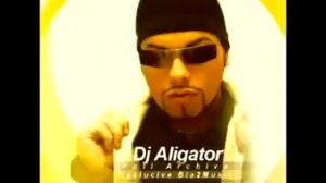 DJ Aligator.  (BEST TRACKS)