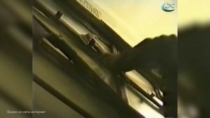 Оказание первой помощи при поражении электрическим током. «Подробности» 25.06.2021 г.