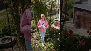Как помочь цветочным культурам цвести пышнее и дольше - Янтарин БАУ.