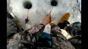 ЗИМНЯЯ РЫБАЛКА НА ТОМИ. ОТДЫХ. ДЕНЬ 1