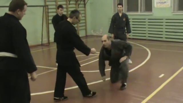 феникс джиу джитсу 40