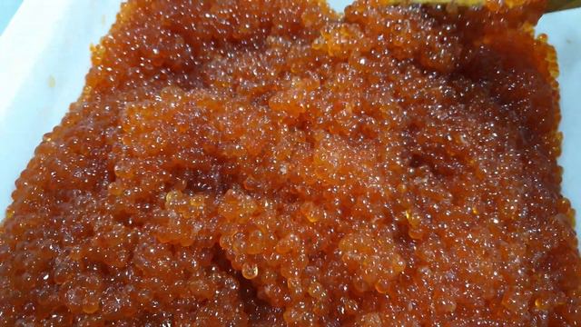 Икра в шымкенте смотреть онлайн