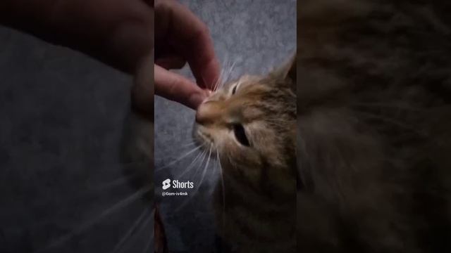 22 марта 2024 г..mp4