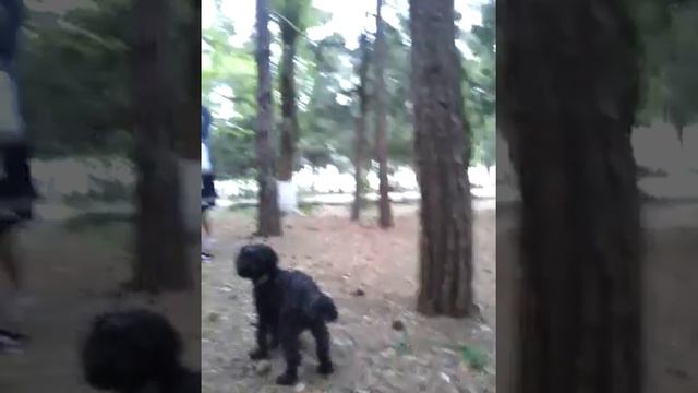 Парк Каспийск смотреть онлайн