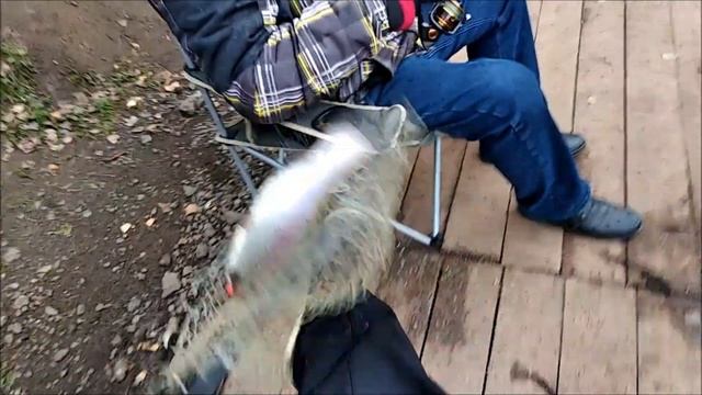 Все приманки на форель, которые дали отличный результат! Клёвое место, Лосиный остров смотреть онлайн