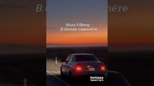 Roza Filberg - В белом самолёте