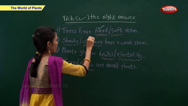 CBSE Class 2 Science : World of Plants | Class 2 Science CBSE School Syllabus Videos | NCERT смотреть онлайн