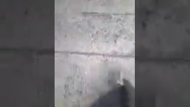 Влог: У меня ветрянка смотреть онлайн