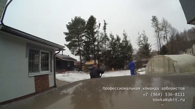 Удаление деревьев с участка смотреть онлайн