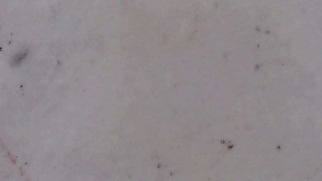 Отравили собаку- Лпх Дом Велеса смотреть онлайн