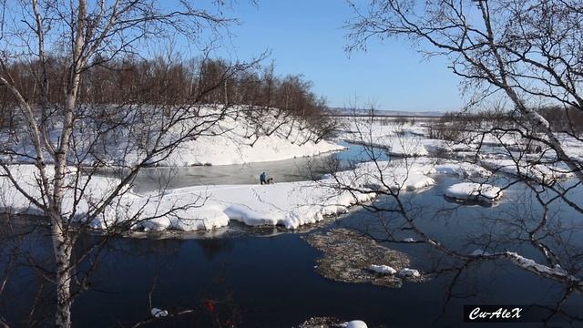 Камчатка. Спасли жизнь. смотреть онлайн