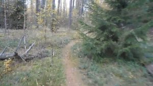 Краткий обзор велосипеда Урал.  Велопрогулка по осеннему лесу.