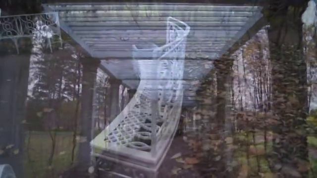 Солнце в листьях ноября смотреть онлайн
