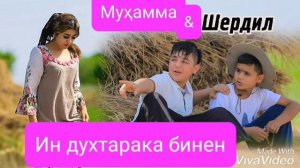 Шердил ва Муҳаммад ин духтарака бинен