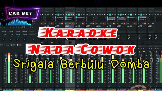 SRIGALA BERBULU DOMBA-( KARAOKE NADA COWOK )-STUDIO MBALE ( RUANG TAMU ) смотреть онлайн