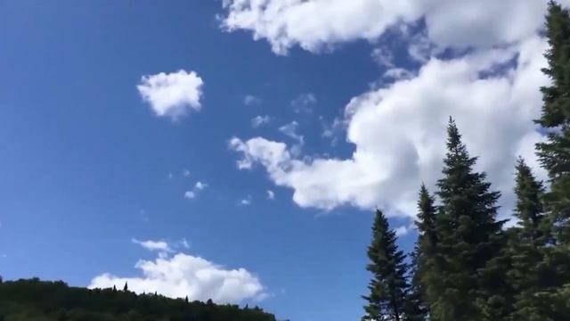 Люди в панике бегали вокруг пытаясь помочь, но помощь пришла откуда не ждали! смотреть онлайн