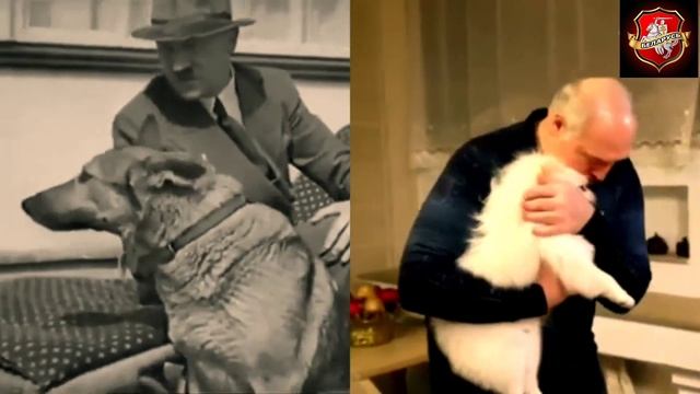 Что общего между лукашизмом и фашизмом. смотреть онлайн