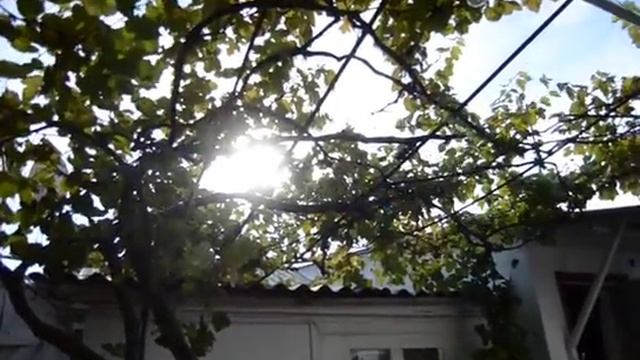 DSC 0041 смотреть онлайн