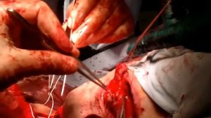 Отрезал Своей собаке яйца!!!