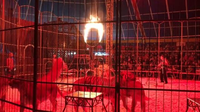 Цирк корона смотреть онлайн