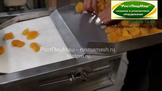 Машина нарезки сухофруктов на кубики DY-801 от РостПищМаш смотреть онлайн