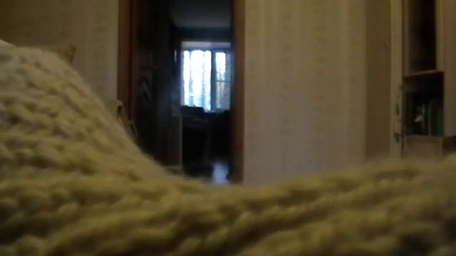 Как сделать бахрому на шарфик. Урок 5, как научиться вязать спицами, макушка шапки. смотреть онлайн