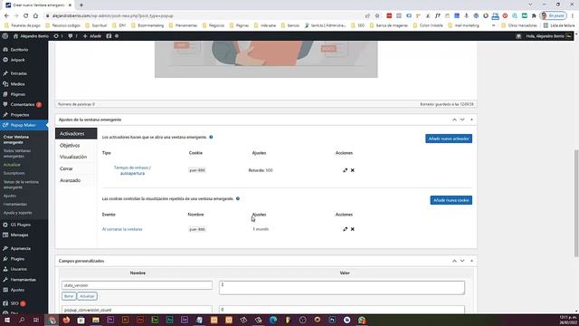 Guía Completa: Cómo Crear un Mensaje Emergente o Pop-up en tu Página Web con WordPress смотреть онлайн