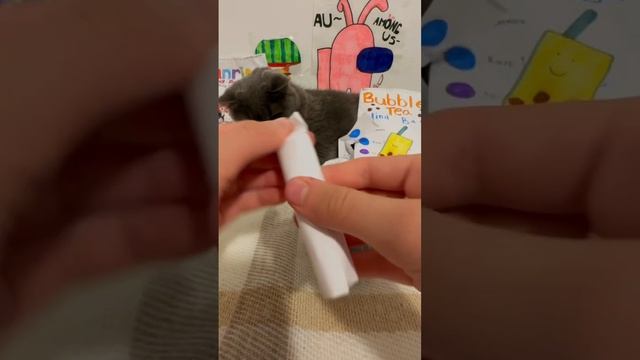 ✨Bubble Tea Blind Bag?#blindbag #asmr #cats #art #diy #papersquishy #papercraft #bubbletea