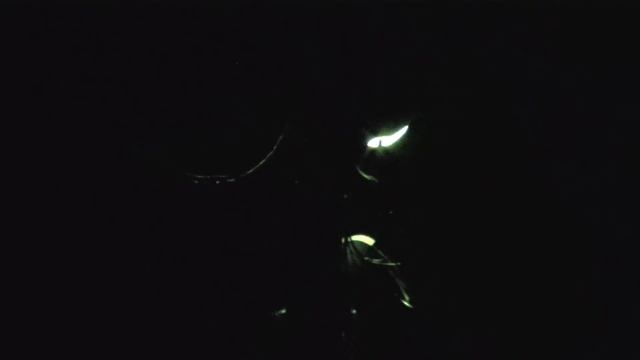 Night test Camera Samsung HMX-H400 (Full HD) смотреть онлайн