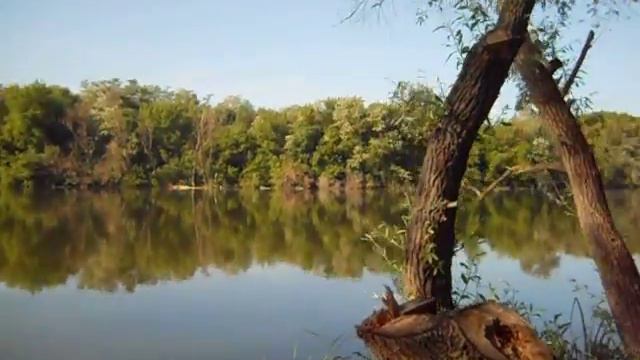 карп 2.avi смотреть онлайн