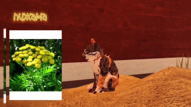 Рассказ о ДОПОЛНИТЕЛЬНЫХ ТРАВАХ В КОТАХ ВОИТЕЛЯХ ROBLOX! смотреть онлайн