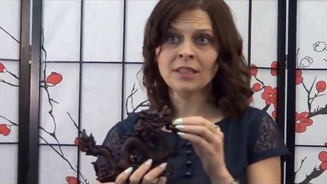 Символы и талисманы. Часть 7. Дракон и Черепаха смотреть онлайн