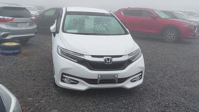 = Авторынок Цены Обзор за 18.02.2024 г = смотреть онлайн