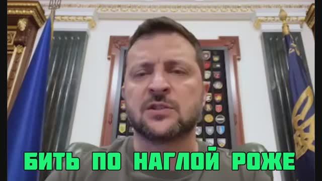 Зеленский потерял берега. Гончаренко отправил сынка в столицу Голландии