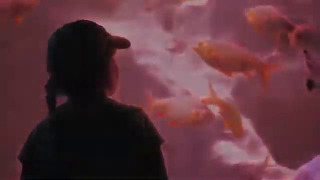 КАК НАЧАТЬ ДЕЙСТВОВАТЬ ИЗМЕНИТЬ СВОЮ ЖИЗНЬ НЕМЕДЛЕННО! смотреть онлайн