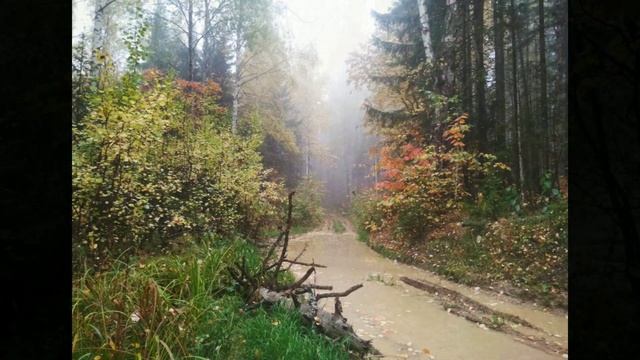 ПВД на поиски места упавшего самолёта смотреть онлайн