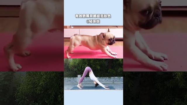 Full Body Workout for Beginner & Advance | No Equipment | mit Warm Up & Cool Down смотреть онлайн