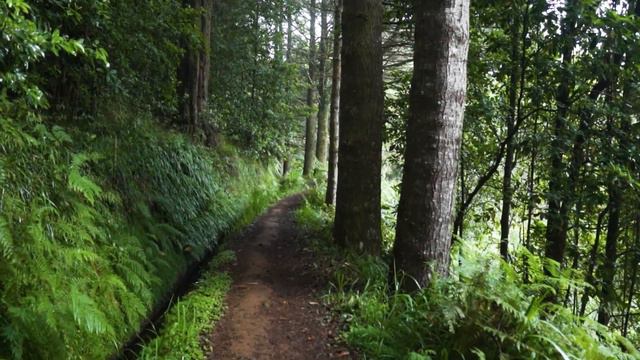 Five Simple Mindful Moments to Put the 'BE' in Wellbeing смотреть онлайн